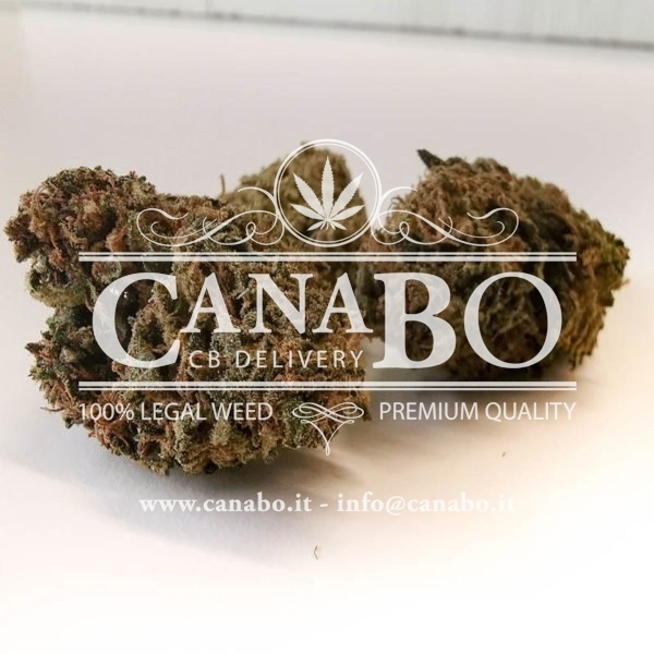 Negozio » CANABO, Vendita Cannabis light e derivati CBD